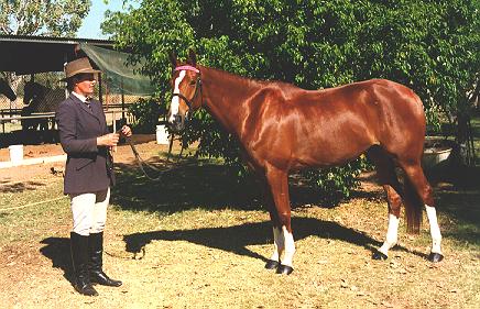 Mabel ready for her led class in Katherine